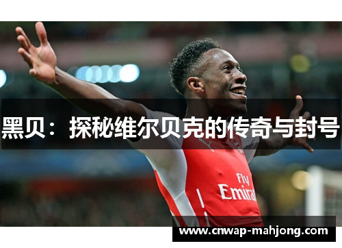 黑贝:探秘维尔贝克的传奇与封号 黑贝:探秘维尔贝克的传奇与封号