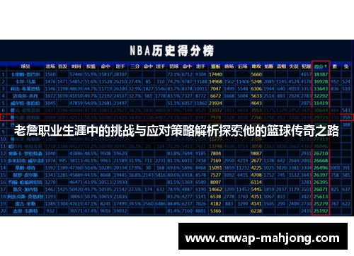 老詹职业生涯中的挑战与应对策略解析探索他的篮球传奇之路
