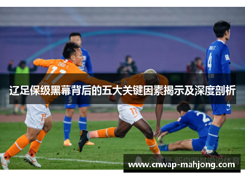 辽足保级黑幕背后的五大关键因素揭示及深度剖析 辽足保级黑幕背后的五大关键因素揭示及深度剖析